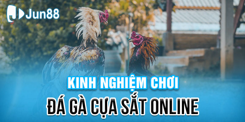 Khám phá địa điểm đá gà cựa sắt trực tuyến với Jun88